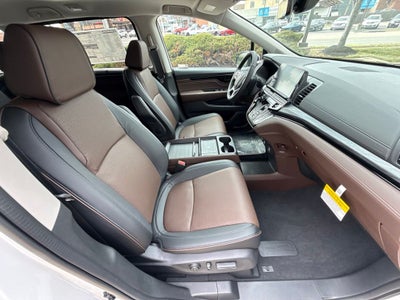 2026 Honda Odyssey Elite