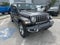2019 Jeep Wrangler Unlimited Sahara 4x4