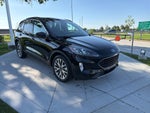 2020 Ford Escape Hybrid Titanium