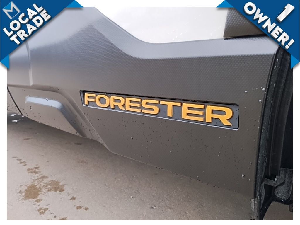 2023 Subaru Forester Wilderness