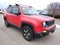 2019 Jeep Renegade Trailhawk 4WD