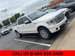 2013 Ford F-150 Platinum
