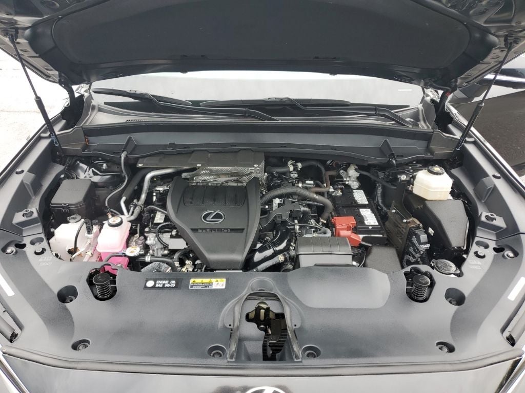 2025 Lexus TX 350 Premium